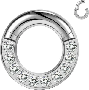 BodyAce CZ Hinged Segment Clicker PA Rings, 2G 4G 6G 8G 10G 12G Large Septum Nose Rings, Surgical Steel Spring Action BCR Ring Ear Gauges Earrings Hoops