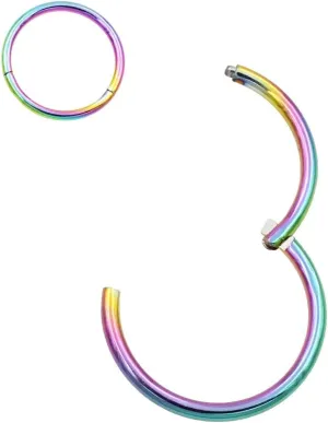 FANSING Men Women 316L Surgical Steel Hinged Nose Rings Hoop for Nostril Septum Cartilage Helix Daith Tragus Rook Conch Lip Ear Lobe Piercings