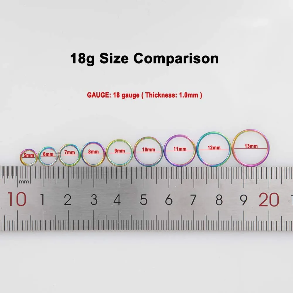 FANSING Men Women 316L Surgical Steel Hinged Nose Rings Hoop for Nostril Septum Cartilage Helix Daith Tragus Rook Conch Lip Ear Lobe Piercings