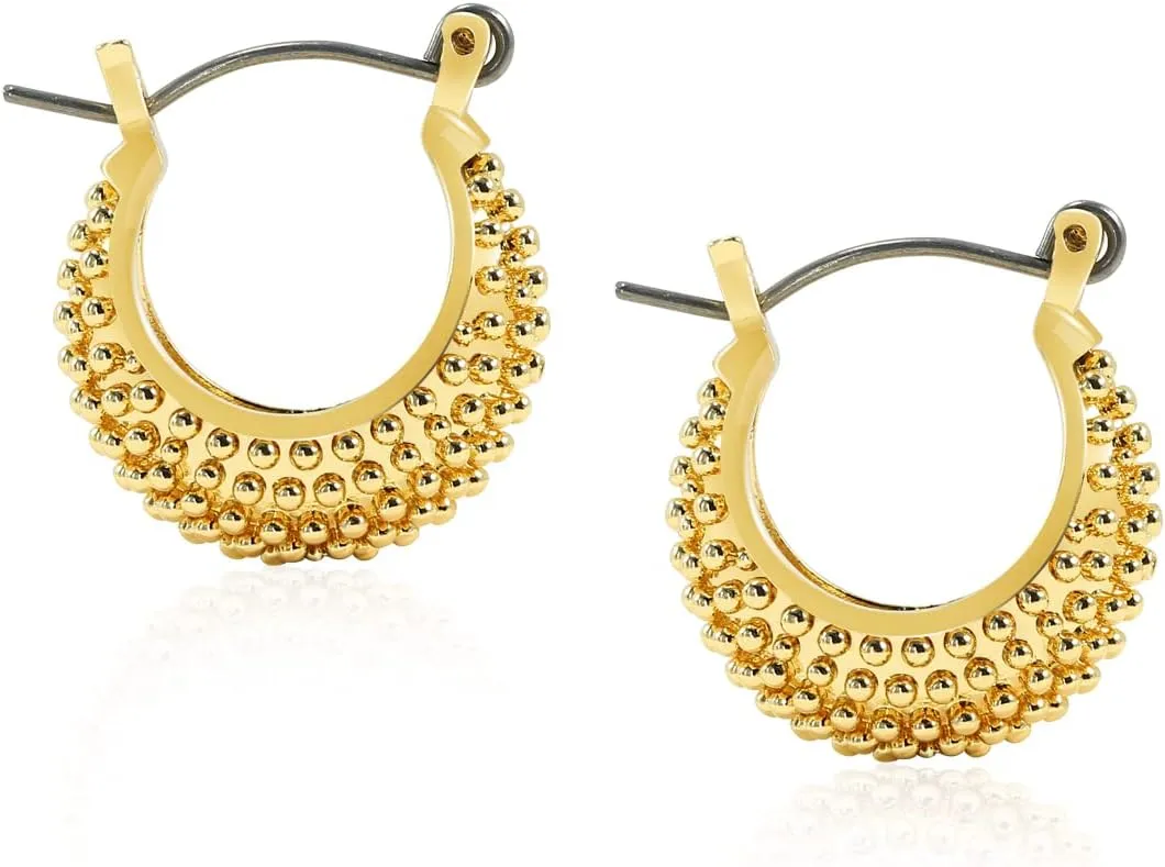 Large Titanium Hoop Earrings for Women White Gold Plated, Fashion Polished Hollow Plain/Bamboo/Twist/Chunky Earring Charms Lightweight, Pure Titanium Big Earrings Hoops Hypoallergenic for Sensitive Ear