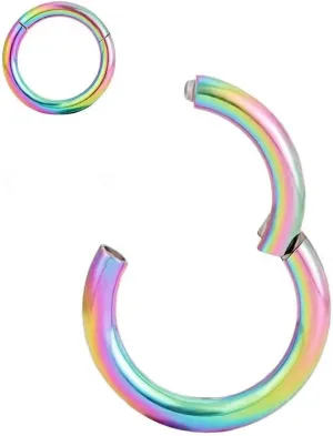 Nose Rings, 316L Surgical Steel Hinged Hoop 20G 18G 16G 14G Septum Ring Helix Cartilage Earring Body Piercing Jewelry 5mm-14mm Diameter, Gold, Rose Gold, Silver, Black, Rainbow