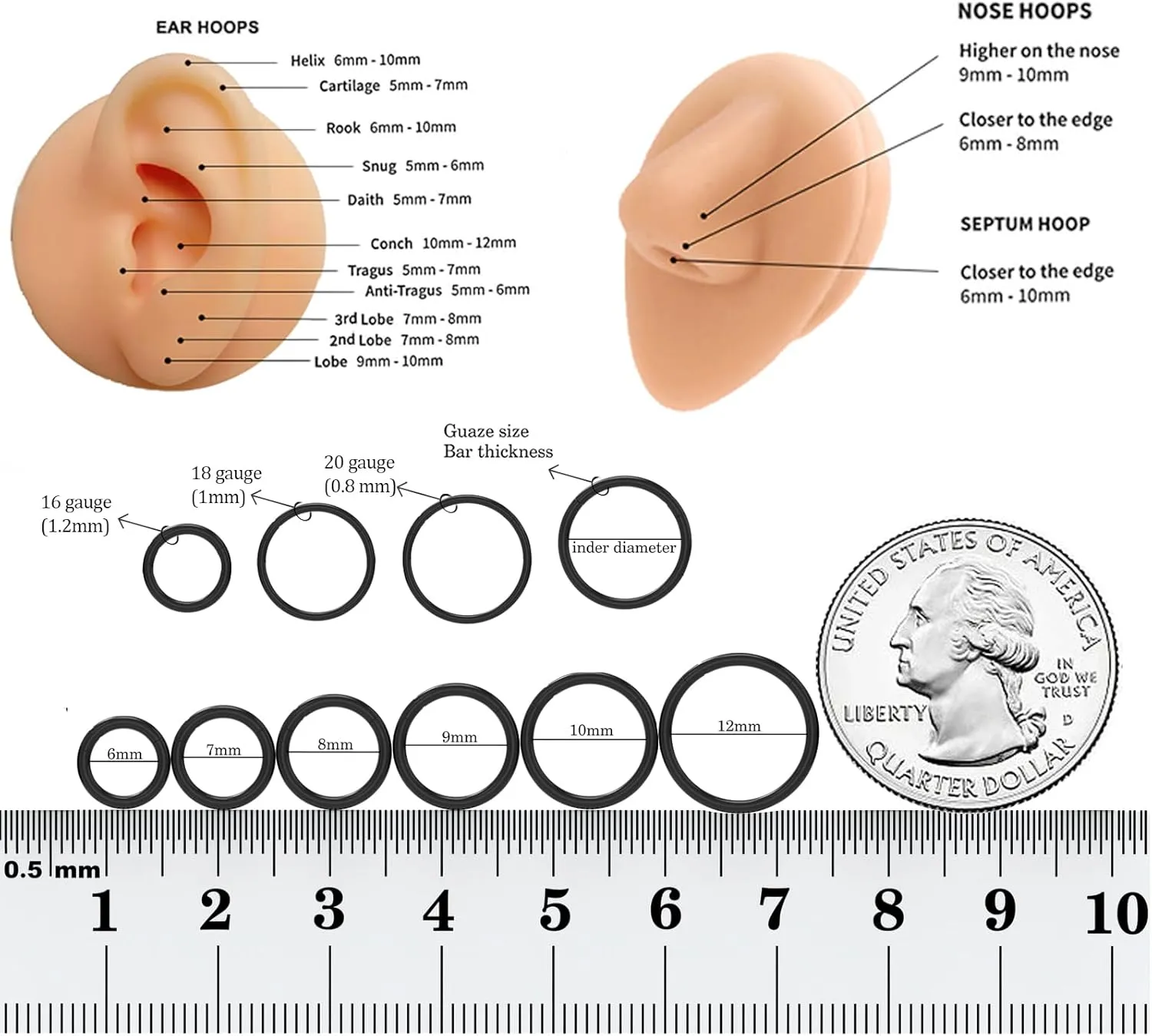 Titanium Nose Rings 20G 18G 16G Nose Rings Hoops Septum Clicker Hinged Segment Ring Cartilage Helix Tragus Conch Daith Rook Hoop Earring, Diameter 5mm to 12mm Silver-Gold-Rose Gold-Black Hoop Ring